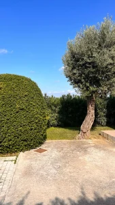 villa irini garden 4