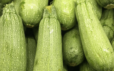 From Seed to Table: The Organic Summer Garden at Villa Thalasses VOL. 4