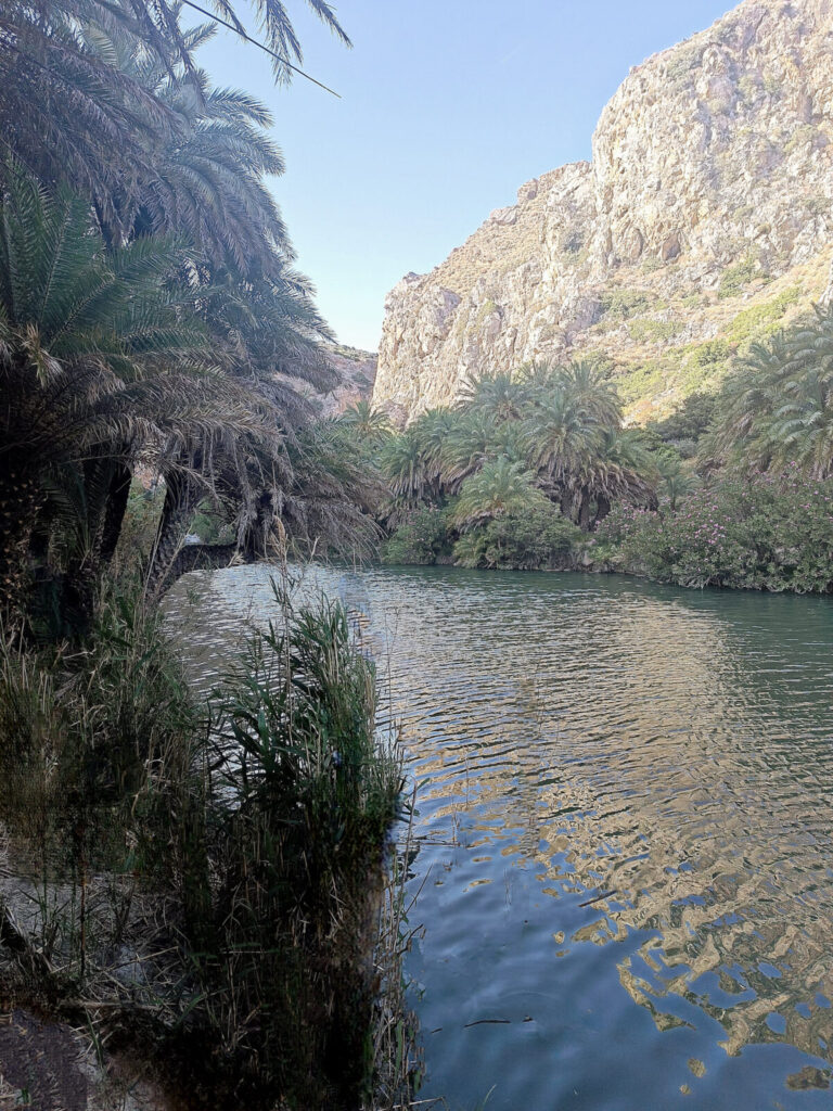 IMG 20260328 181642